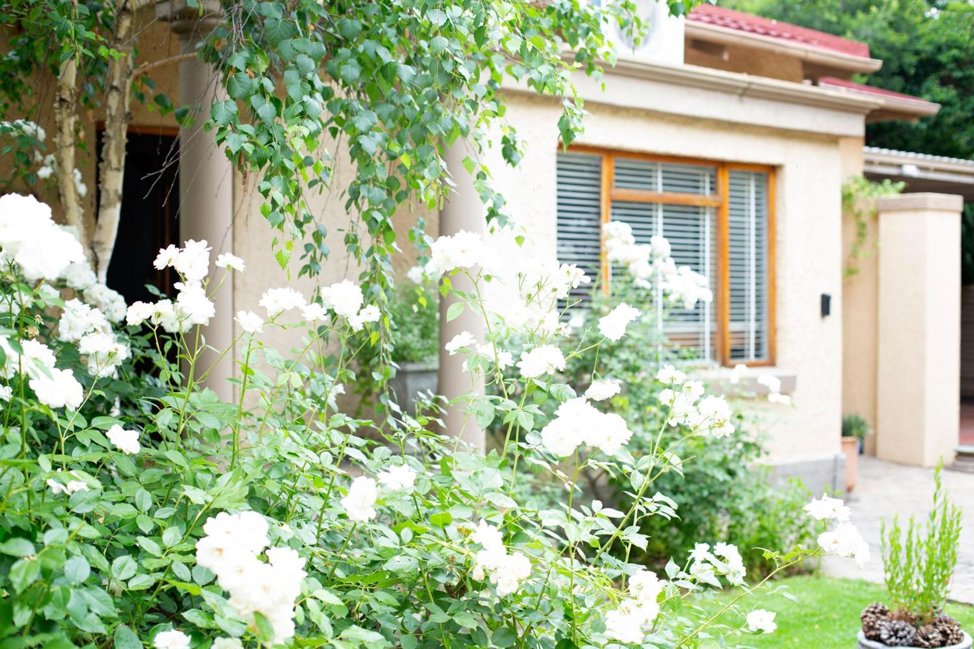Crisp Guest Rooms Bloemfontein Eksteriør bilde
